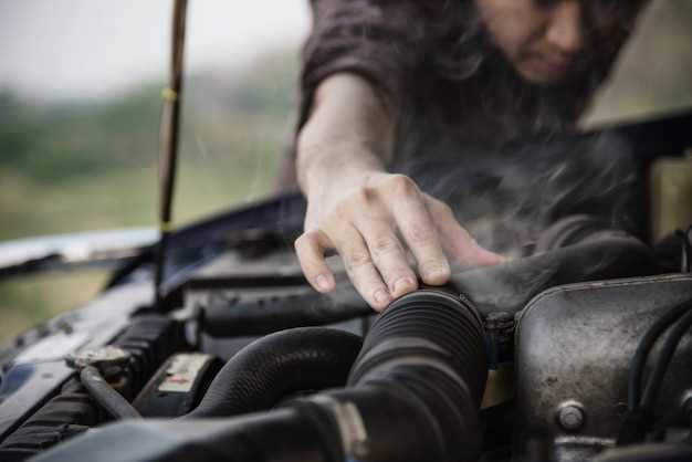 Disassembling the Transmission: A Step-by-Step Process