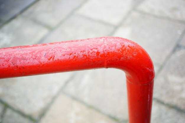 Visible Leaks and Corrosion Around the Pump